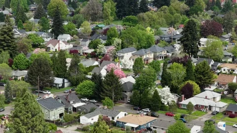 Blooming pink and white trees dot residential neighborhood, bungalow-style 库存影片 337747576