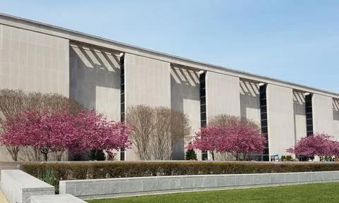 Blooming pink cherry trees in front of a modern building 写真素材