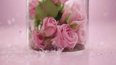 Blooming pink roses inside a transparent glass vase on the surface of the water Stock Footage 178405644