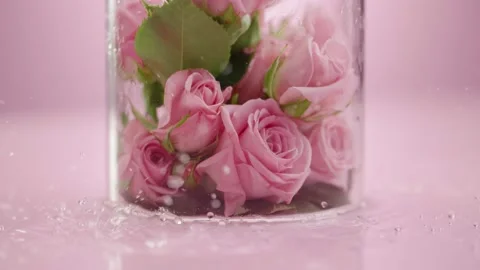 Blooming pink roses inside a transparent glass vase on the surface of the water Stock Footage 178408980