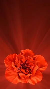 Blooming Red Flower on Gradient Background with Glowing Rays Stock Illustration