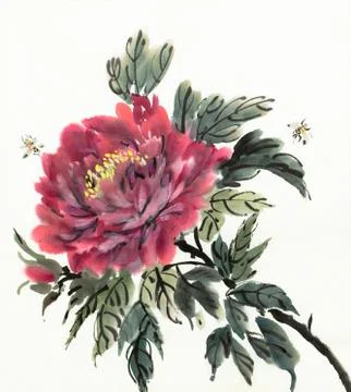 Blooming red peony Stock Illustration