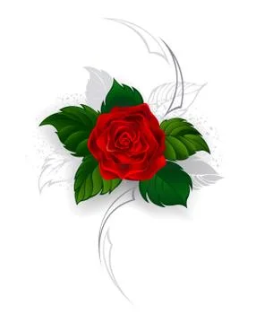 Blooming Red Rose Stock Illustration