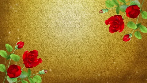 Blooming Red Roses Diagonal Composition Animation on Golden Background Vídeos de archivo 330477686