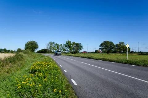 Blooming roadside Stock Photos