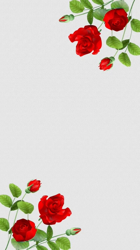 Blooming Rose Flowers Diagonal Layout Animation, Vertical 3DCG Floral Frame Video stock 328453470