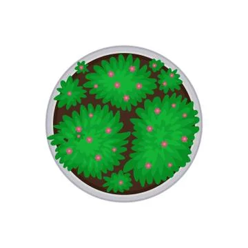 Blooming round flower bed. View from above. Vector illustration on white Ilustração Stock