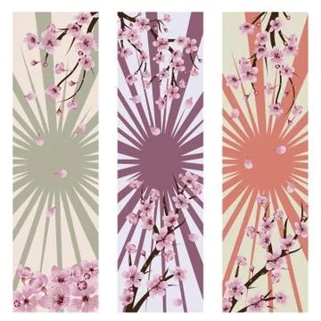 Blooming Sakura Banner Stock Illustration