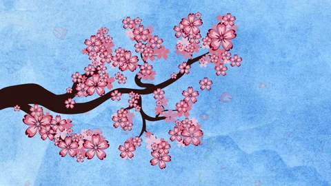 Blooming Sakura Branch Stock Footage 88707369