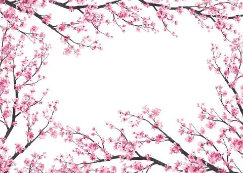 Blooming sakura branch frame with delicate pink cherry tree flowers, buds. .. Stock Illustration