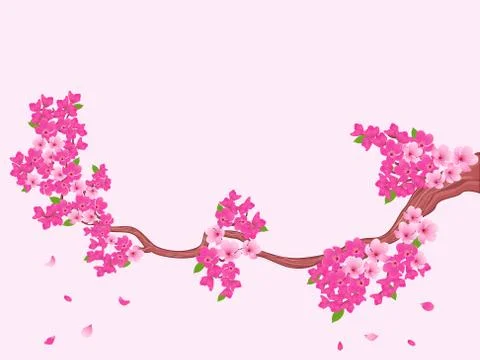 Blooming Sakura branch over light pink Stock Illustration