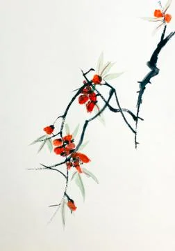 Blooming Sakura Stock Illustration