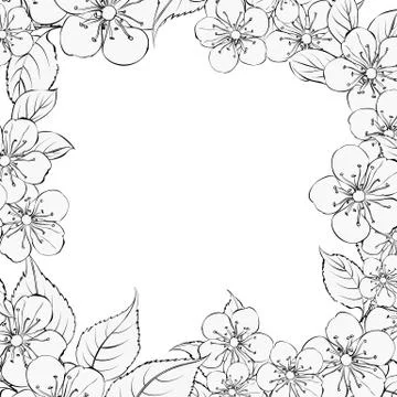 Blooming sakura rectangle frame. Stock Illustration