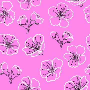 Blooming sakura seamless pattern Hand drawn cherry Stock Illustration