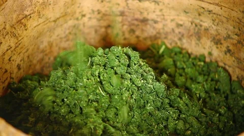 Blooming sally Stock Footage 43738154