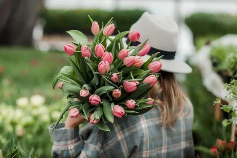 Blooming Serenity Stock Photos