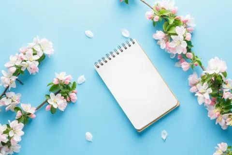 Blooming spring sakura on a blue background with notepad space for a greeting Foto stock