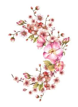 Blooming spring sakura, cherry tree with rose hip dog rose flowers. Watercolor Stock Illustration