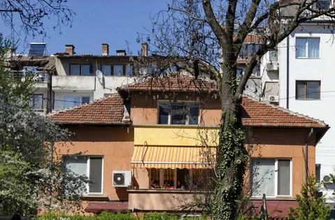 Blooming spring trees against the background of a residential area Stock Photos