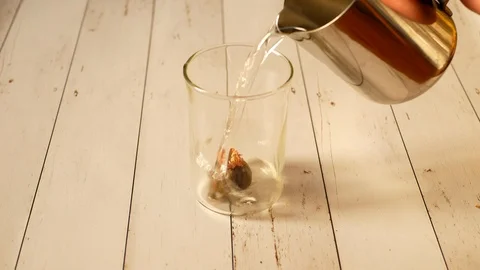 Blooming Tea Flowering Stock Footage 95641415