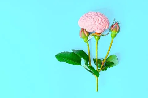 Blooming Thoughts Concept 스톡 사진
