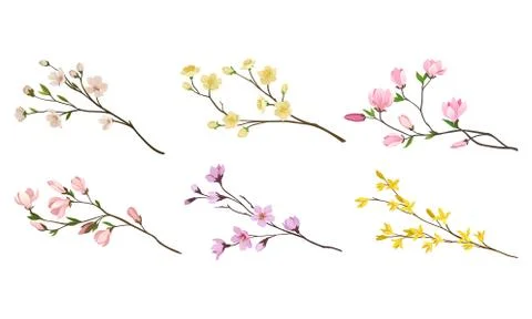 Blooming Tree Branches and Twigs with Tender Flower Buds Vector Set Stock Illustration