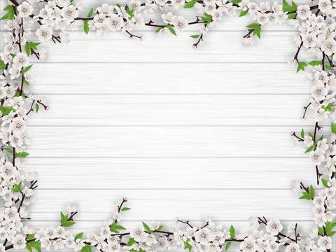 Blooming tree branches frame. Stock Photos