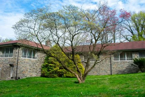A Blooming Tree in Front of a Cobblestone Building With a Red Roof Foto stock