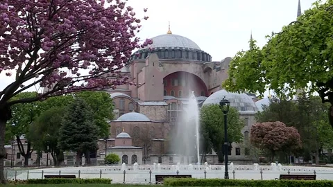 Blooming tree, pool and hagia sophia Video stock 147022366