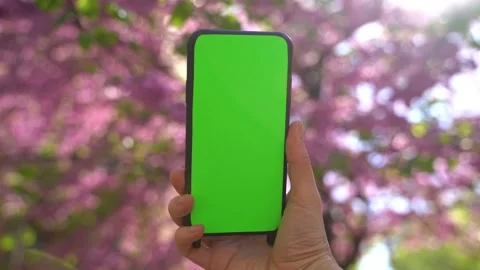 Blooming tree spring cellphone chromakey vertical green screen Vídeo Stock 237938900