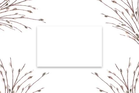 Blooming tree stems on a white background. Template greeting card or advertis Foto stock