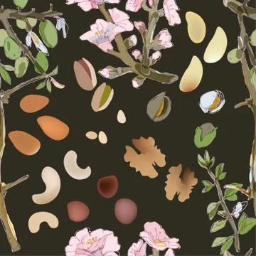 Blooming twigs and nuts of cedar, walnuts, brazil, hazelnuts, pistachios, alm Illustrazione stock