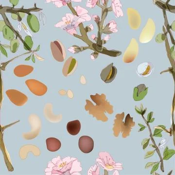Blooming twigs and nuts of cedar, walnuts, brazil, hazelnuts, pistachios, alm Stock Illustration