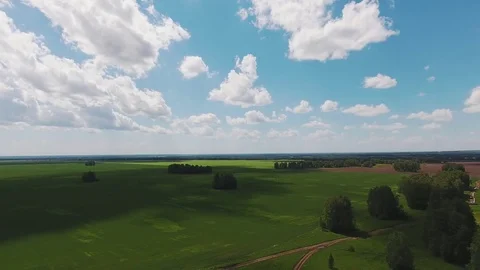 Blooming valley with greenery and forest: a calming natural landscape Stock Footage 80727677