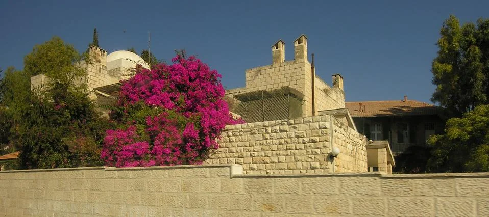 Blooming wall Stock Photos
