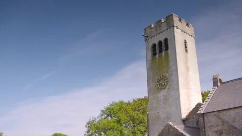 Blooming White Daisy Flowers, Derbyshire, UK Stock Footage 121683053