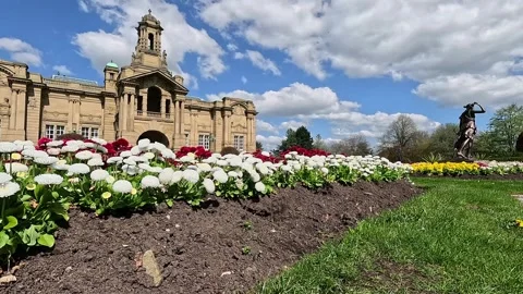 Blooming white flower beds in front of Cartwright Hall, Lister Park, Bradford. Stock Footage 333794077