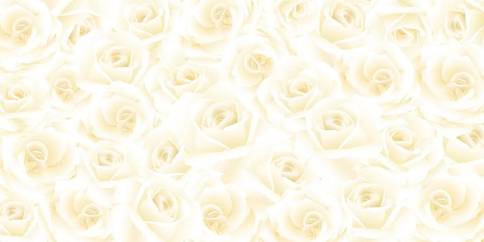Blooming white rose flowers pattern background graphic illustration. Illustrazione stock