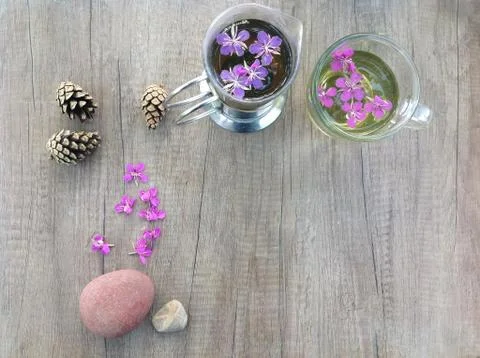 Blooming Willow herb Ivan tea at the baltic sea background Stock Photos