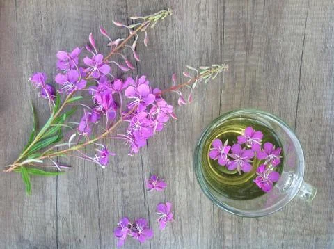 Blooming Willow herb Ivan tea at the baltic sea background Stock Photos