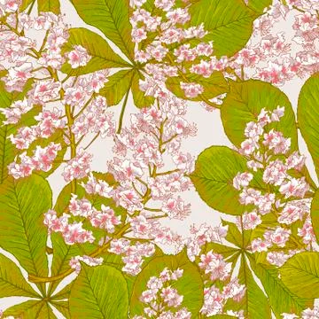 Blossom Chestnut Seamless Spring Background Stock Illustration