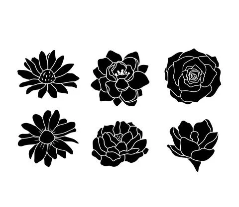 Blossom flower elements isolated on white. Rose, daisy and peony glyph vector Stock Illustration