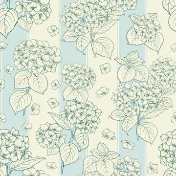 Blossom flower hydrangea. Stock Illustration