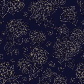 Blossom flower hydrangea. Stock Illustration
