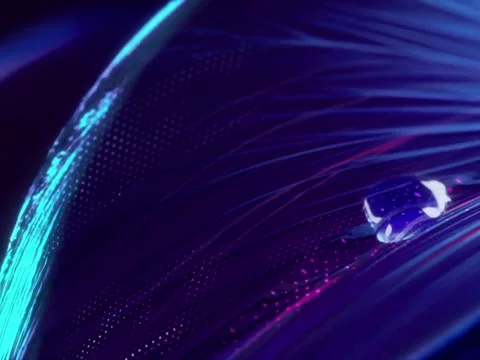 Blossom Stock Footage 245139126