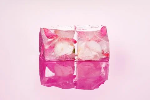 Blossom in ice. Stock Photos