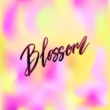 Blossom spring concept lettering Stockillustratie