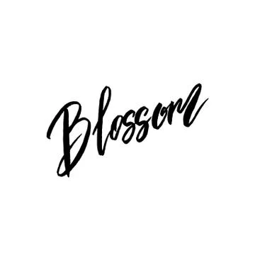 Blossom spring concept lettering Stock Illustration