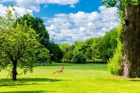 Blossom spring trees Foto stock