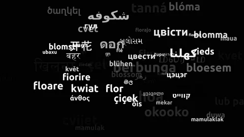 Blossom Translated in 75 Worldwide Languages Endless Looping 3d Zooming Wordc Stockbeeldmateriaal 145203579
